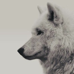 Blvde.dvrk.vmore