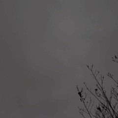dxlx_q