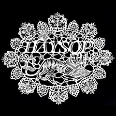 Haysop