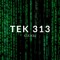 TEK 313