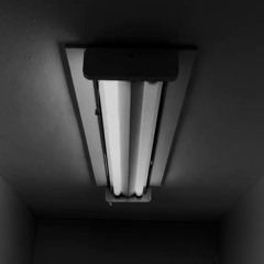 Law Office Recordings / Vibey North America