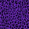𝕴♡𝖕𝖔𝖕𝖘𝖙𝖆𝖗𝖟𝖟