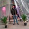 Mostafa Kamel