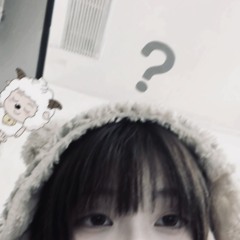 김보미
