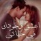 Hossam elmasry