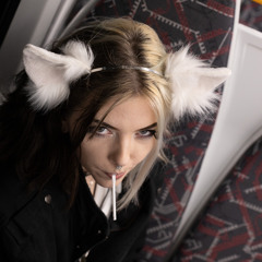 bunny