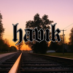 HAVIK
