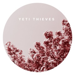 Yeti Thieves