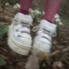 doll ˚₊‧꒰ა ꣑ৎ ໒꒱ ‧₊˚