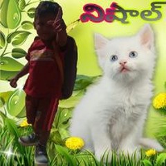 Raju Baithi