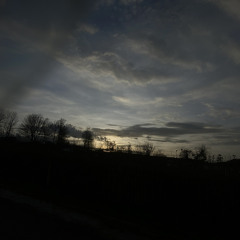 Chantal.gernandt0802