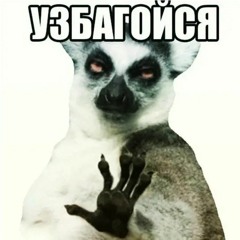 eksididie8