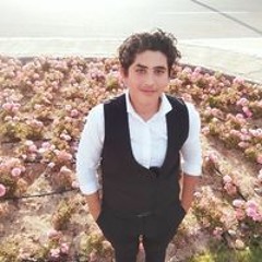 محمد وائل منصور