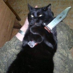 ⋆꙳•̩̩͙❅*̩̩͙‧͙ ‧͙*̩̩͙❆ ͙͛ ˚₊⋆