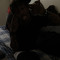 5.quann