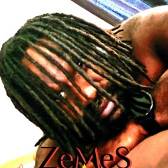 ZeMeS