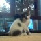 Danna