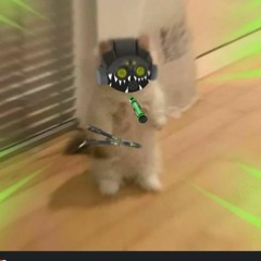 IsaiahPuppy
