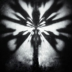 kwu_z0ra3v