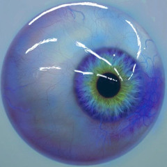 SAMEVISION