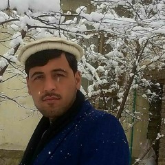 Hizb Ullah Arife