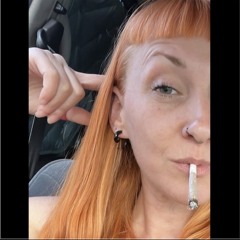 VaNe_PvL