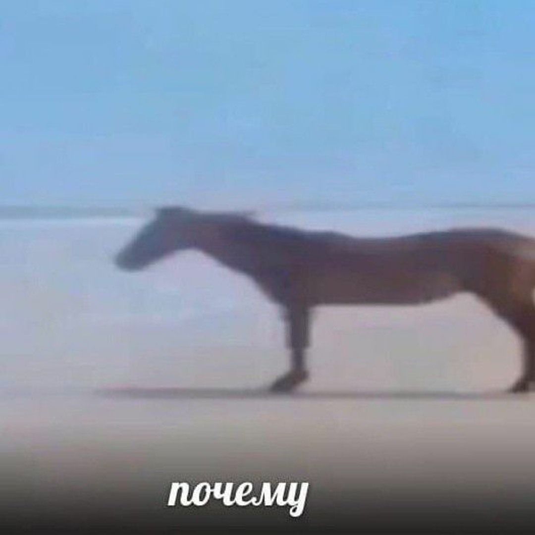 вагина лошади Фигурка животного Лошадь Мустанг кобыла 87337 Derri Animals 73354554 купить  за 118 300 сум в интернет-магазине Wildberries