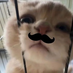 가영
