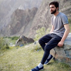 Aly Rashaa