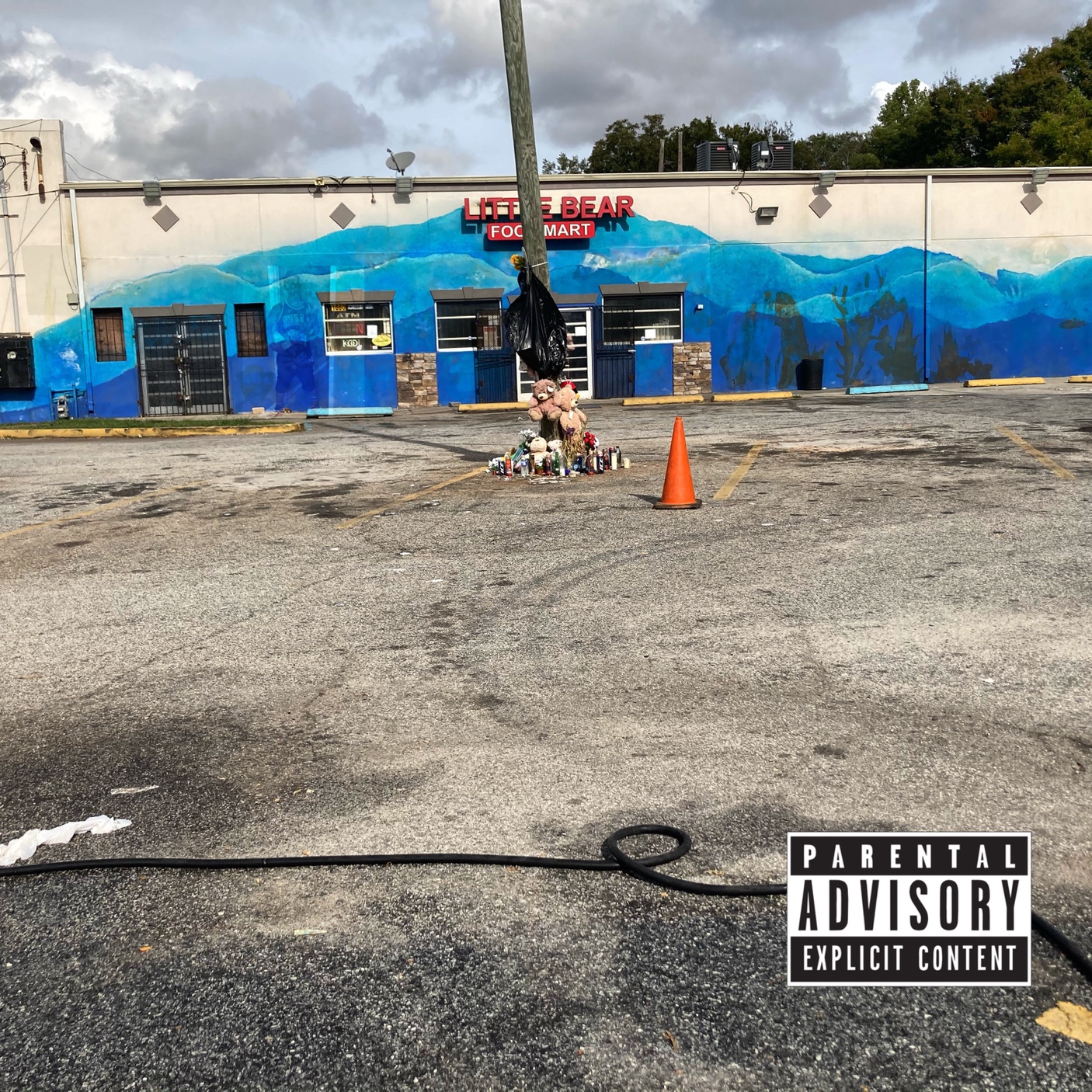 DUM MONEY TUNE podcast artwork