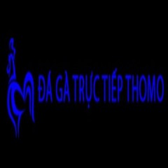 Đá Gà Trực Tiếp Thomo