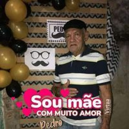Pedrinho Silva’s avatar
