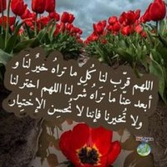 Heba Basem