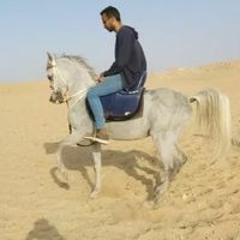 Ahmedessamawyy