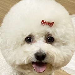 A man's life is what his thoughts make of it