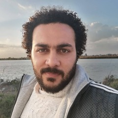 Mahmoud Abd el-hady