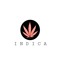 INDICA