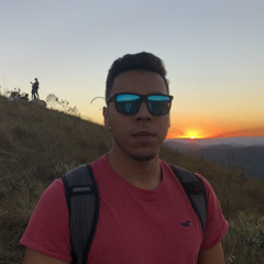 Vitor Netzel