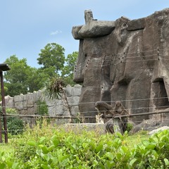 Quân Nguyễn