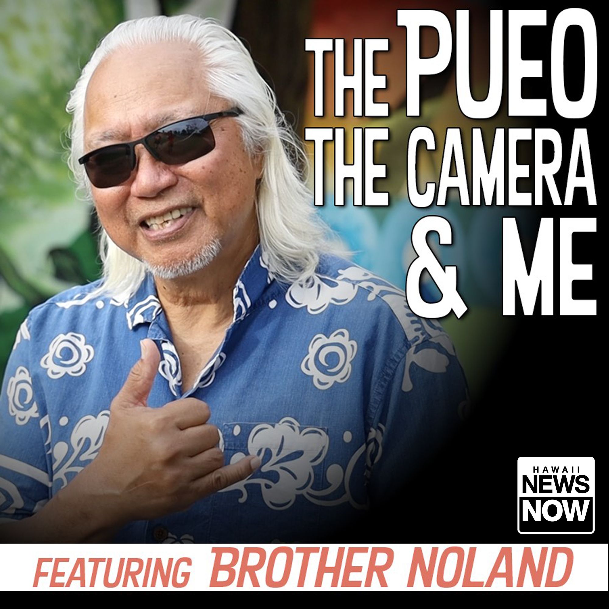 The Pueo, The Camera & Me