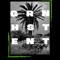 Green Heist Entertainment