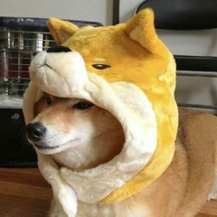 ~1~