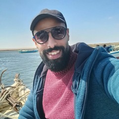 Ahmed Abdelfatah 17