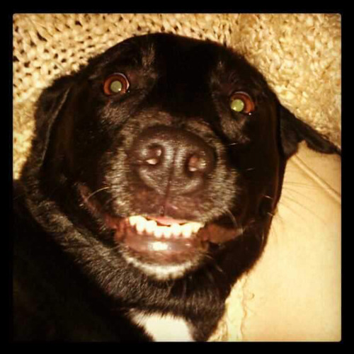 What Else Can I Smoke 8-25-25