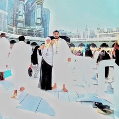 زينب محمد علي