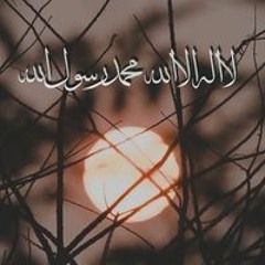 أحمد الكفراوي