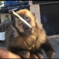 akalucazchefe