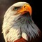 EAGLE 🦅