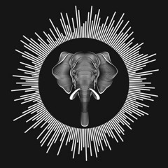 Elephant Official