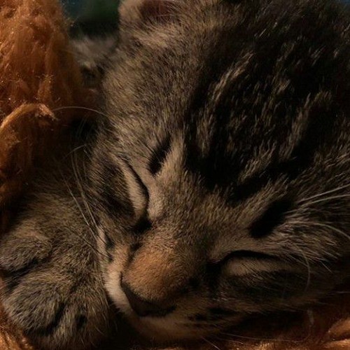 BTS - FAKE LOVE Orchestra Version